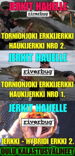 JERKIT - HAUKIJERKIT - HAUENKALASTUS - HYBRIDI UISTIMET - RIVERBUG PIKE FISHING FINLAND